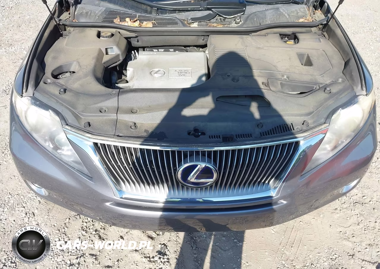 2012 Lexus Rx 450H VIN:JTJZB1BA0C2406198 - 10