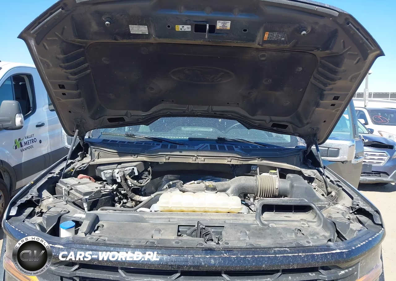 2024 Ford F-150 Xlt VIN:1FTEW3KP4RKD17703 - 10
