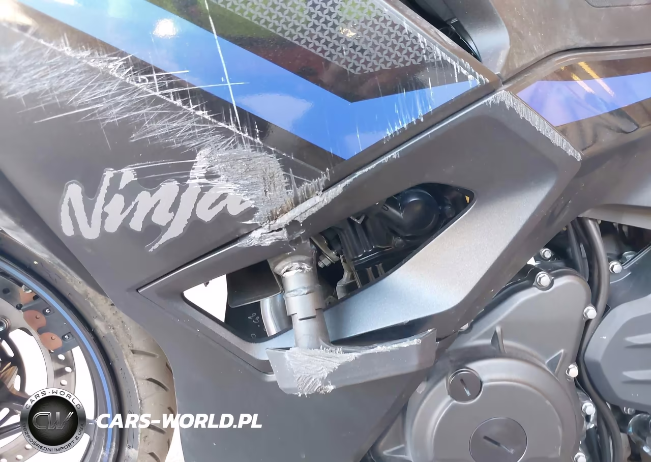 2025 Kawasaki Ex500 A-B VIN:ML5EXGJ16SDA50203 - 15