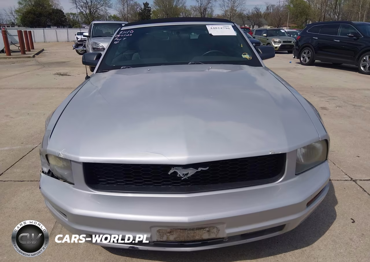 2007 Ford Mustang V6 Deluxe-V6 Premium VIN:1ZVFT84N675330516 - 12