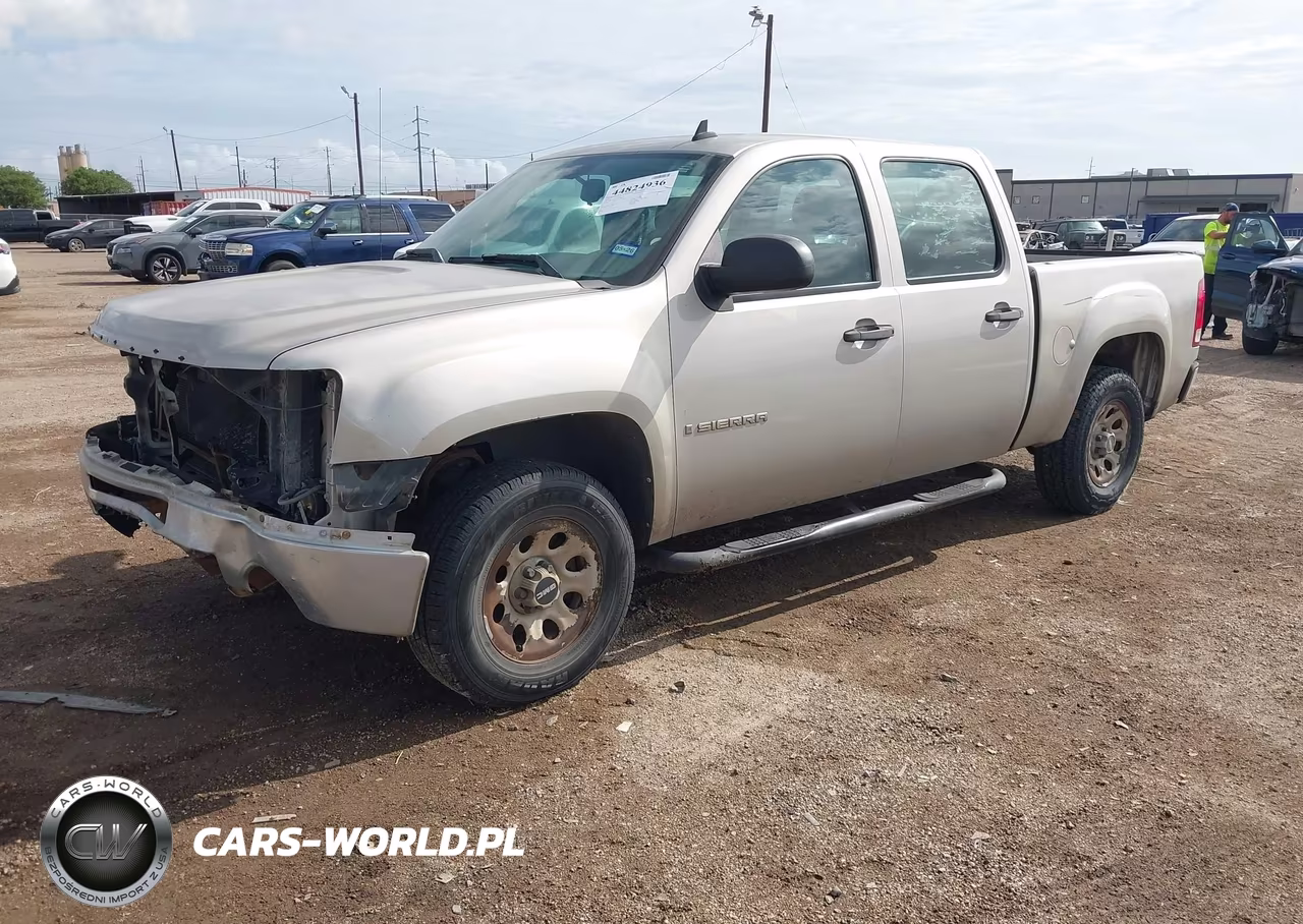 2009 GMC Sierra 1500 Work Truck VIN:3GTEC13C29G108069 - 2