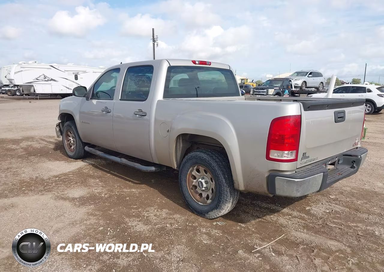 2009 GMC Sierra 1500 Work Truck VIN:3GTEC13C29G108069 - 3