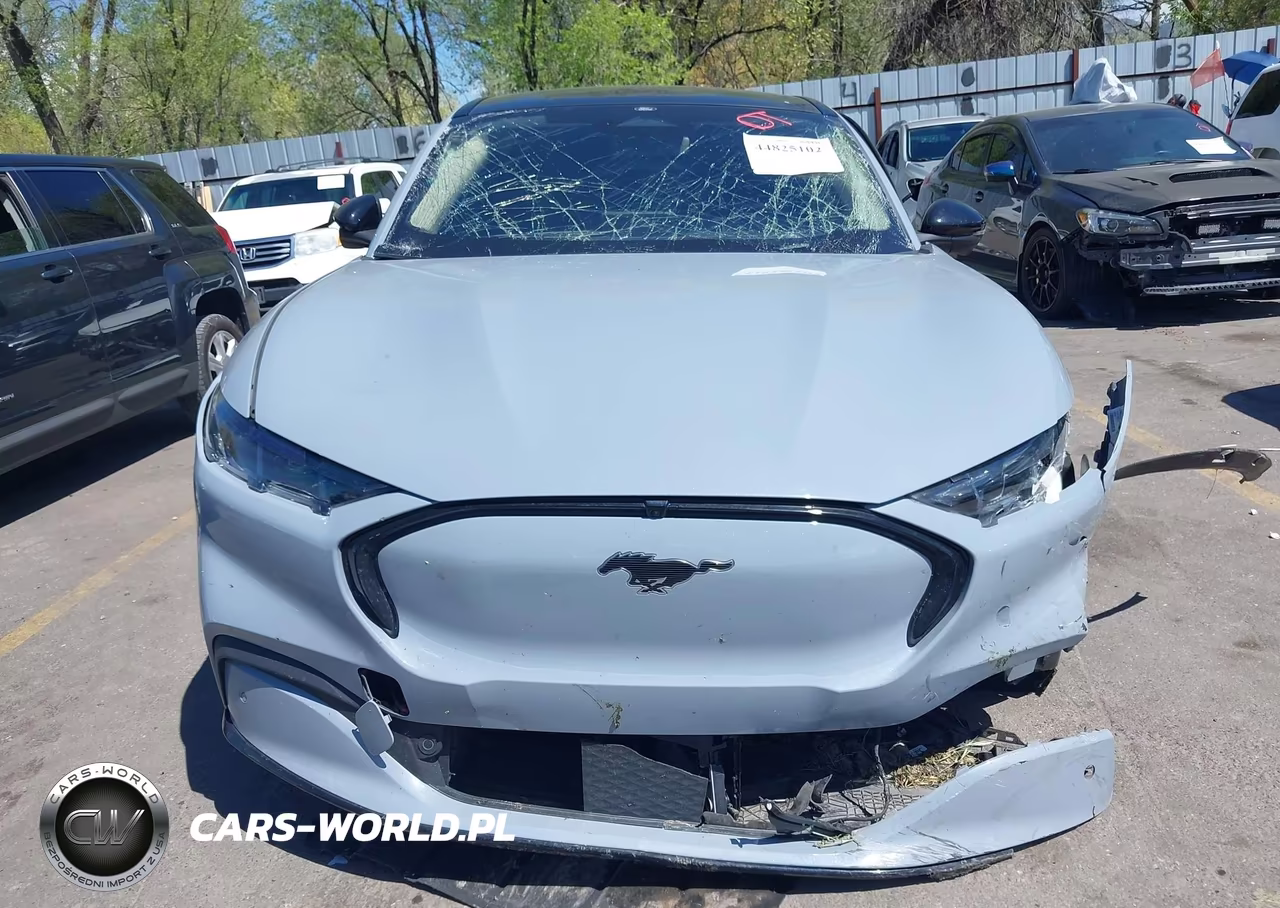 2024 Ford Mustang Mach-E Premium VIN:3FMTK3R74RMA14966 - 12