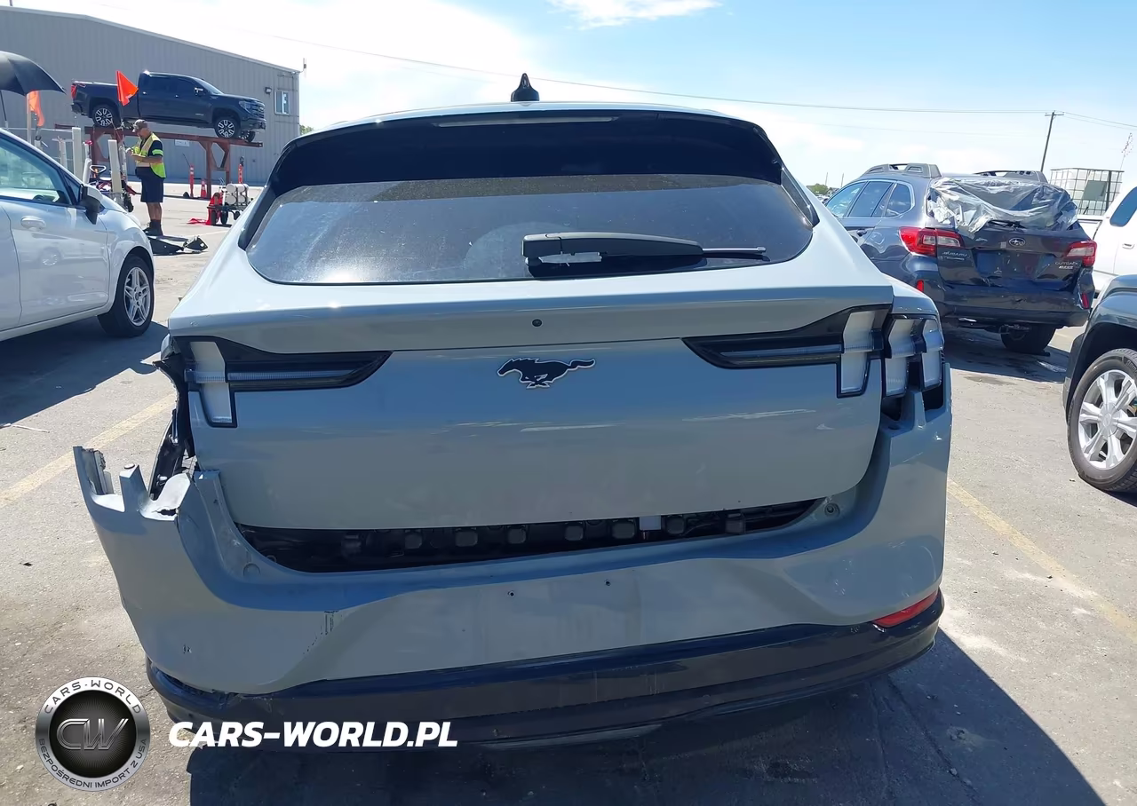 2024 Ford Mustang Mach-E Premium VIN:3FMTK3R74RMA14966 - 16