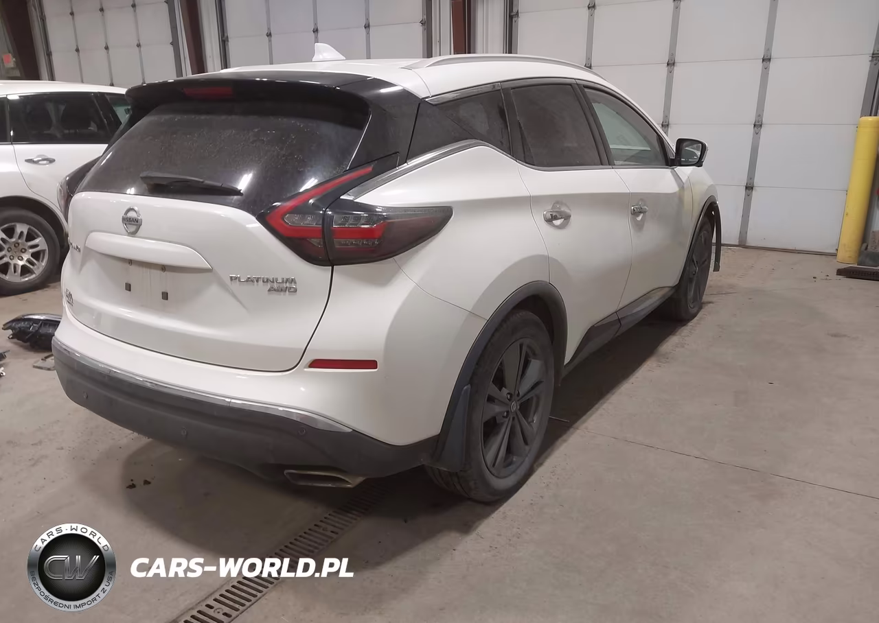 2020 Nissan Murano Platinum Intelligent Awd VIN:5N1AZ2DS9LN121503 - 4