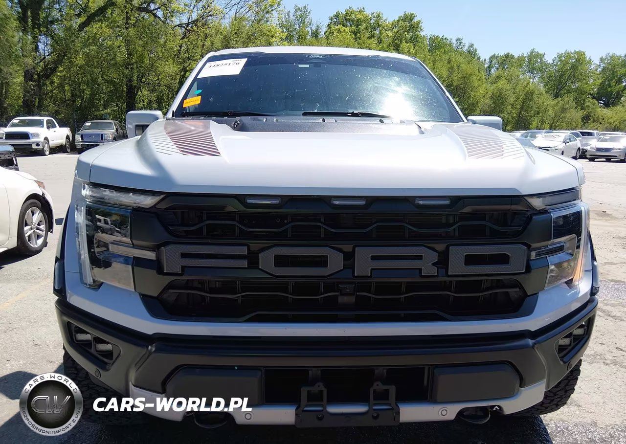 2025 Ford F-150 Raptor VIN:1FTFW1RG4SFB69565 - 13