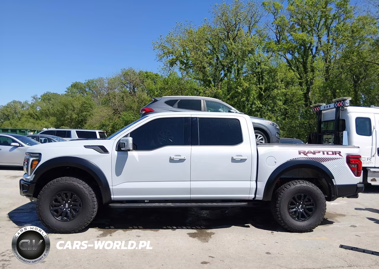 2025 Ford F-150 Raptor VIN:1FTFW1RG4SFB69565 - 15