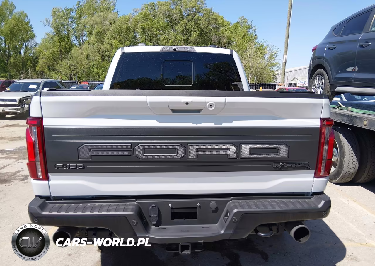 2025 Ford F-150 Raptor VIN:1FTFW1RG4SFB69565 - 17