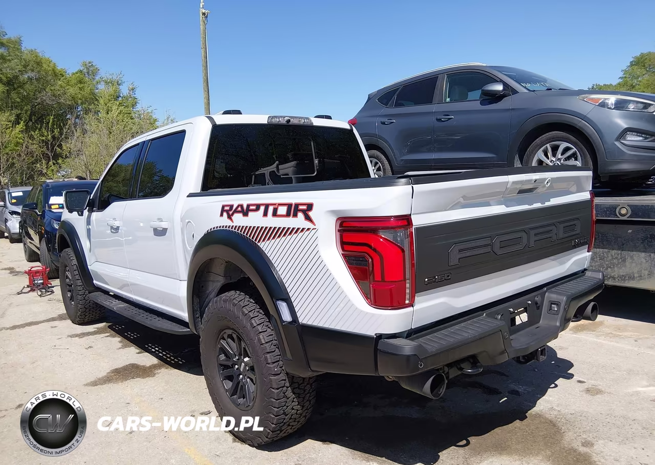 2025 Ford F-150 Raptor VIN:1FTFW1RG4SFB69565 - 3