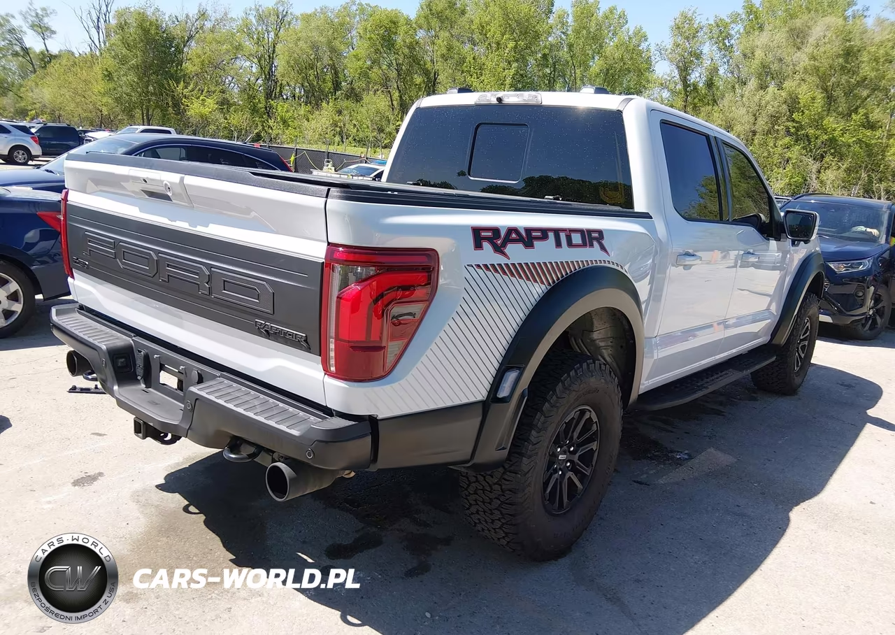 2025 Ford F-150 Raptor VIN:1FTFW1RG4SFB69565 - 4