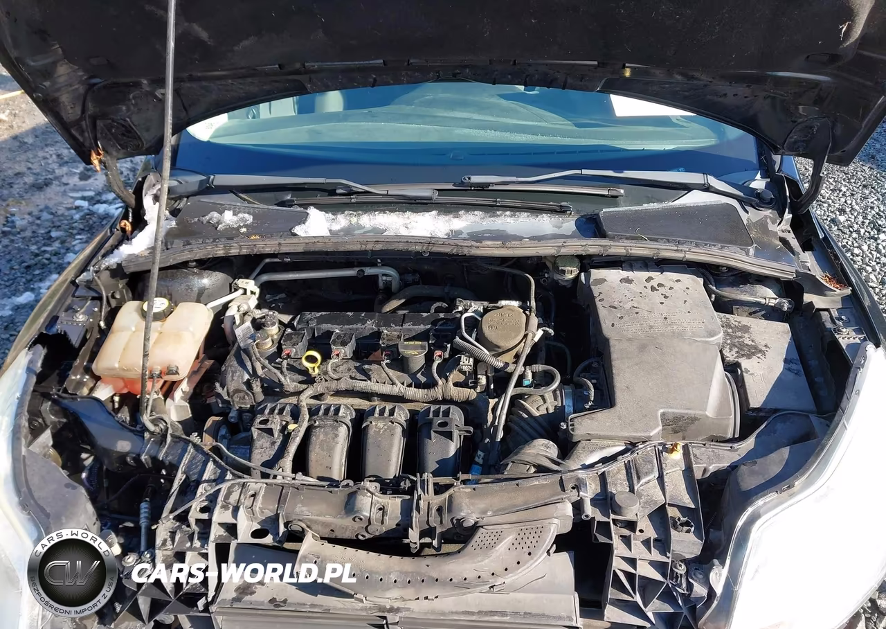 2013 Ford Focus Se VIN:1FADP3F26DL289998 - 10