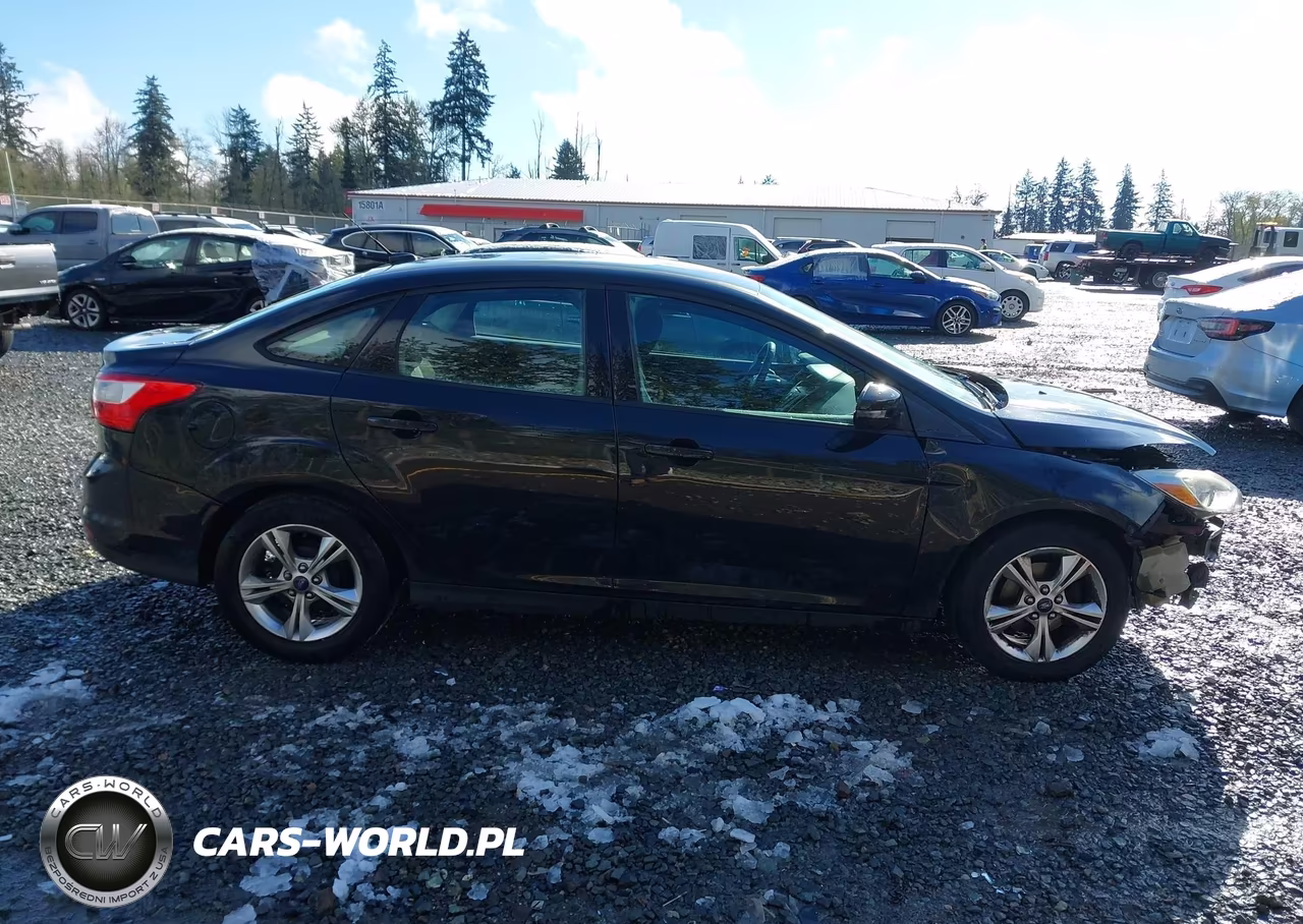 2013 Ford Focus Se VIN:1FADP3F26DL289998 - 14