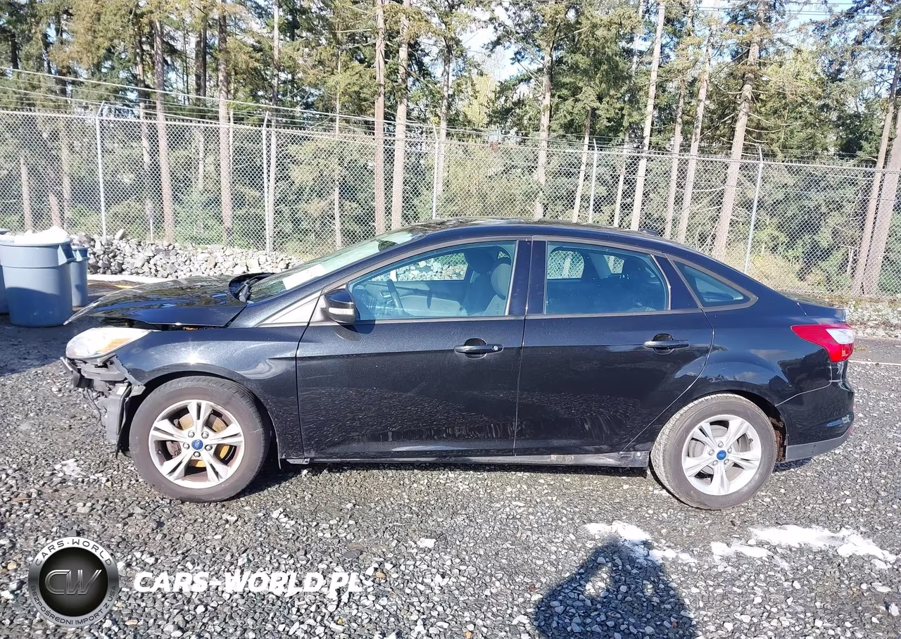 2013 Ford Focus Se VIN:1FADP3F26DL289998 - 15