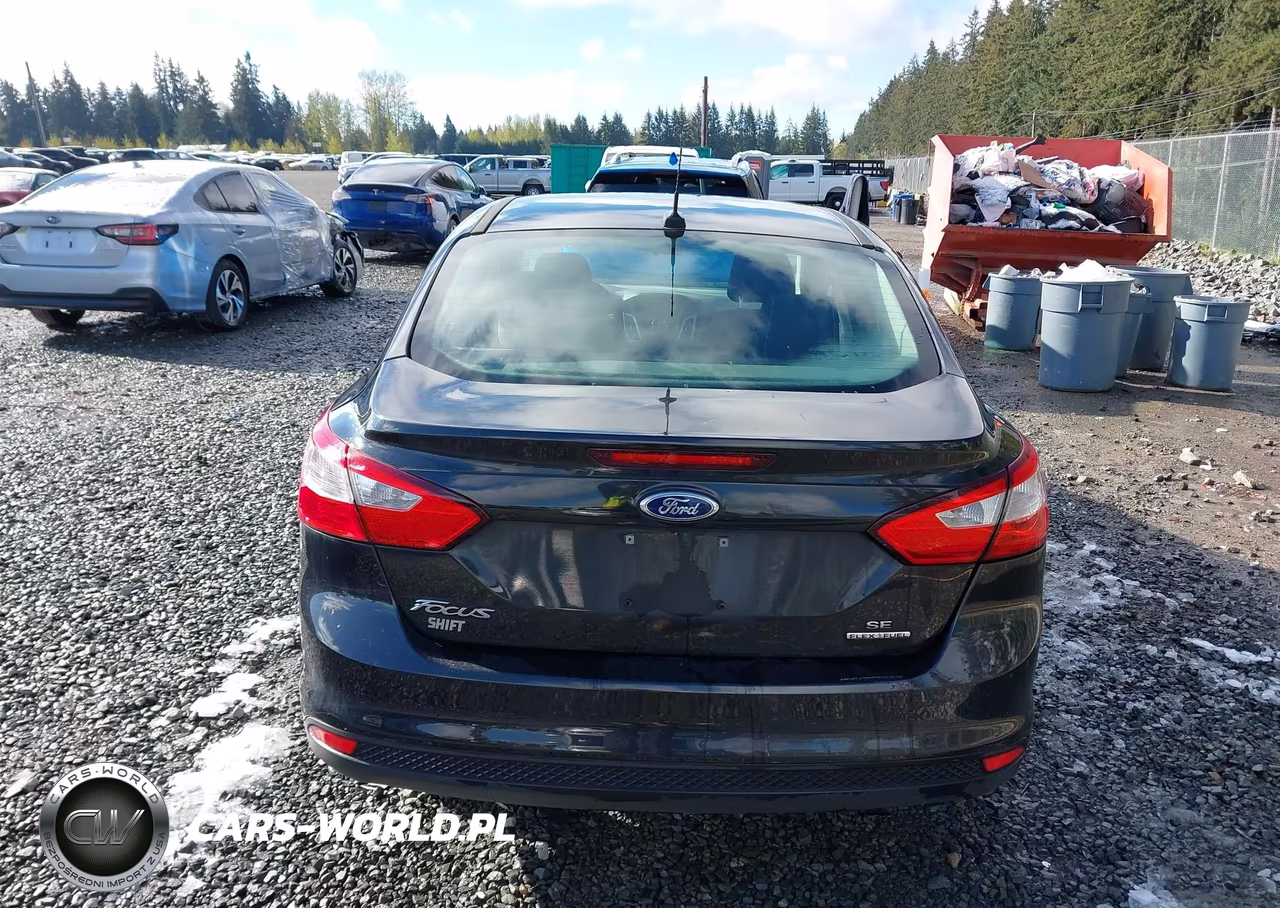 2013 Ford Focus Se VIN:1FADP3F26DL289998 - 17