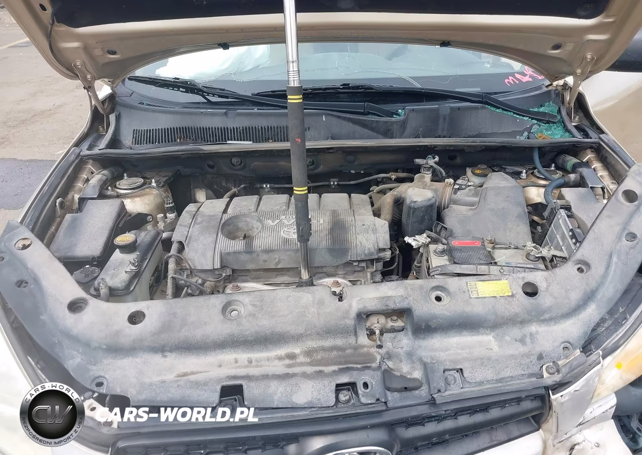 2009 Toyota Rav4 VIN:JTMBF33V695004456 - 10