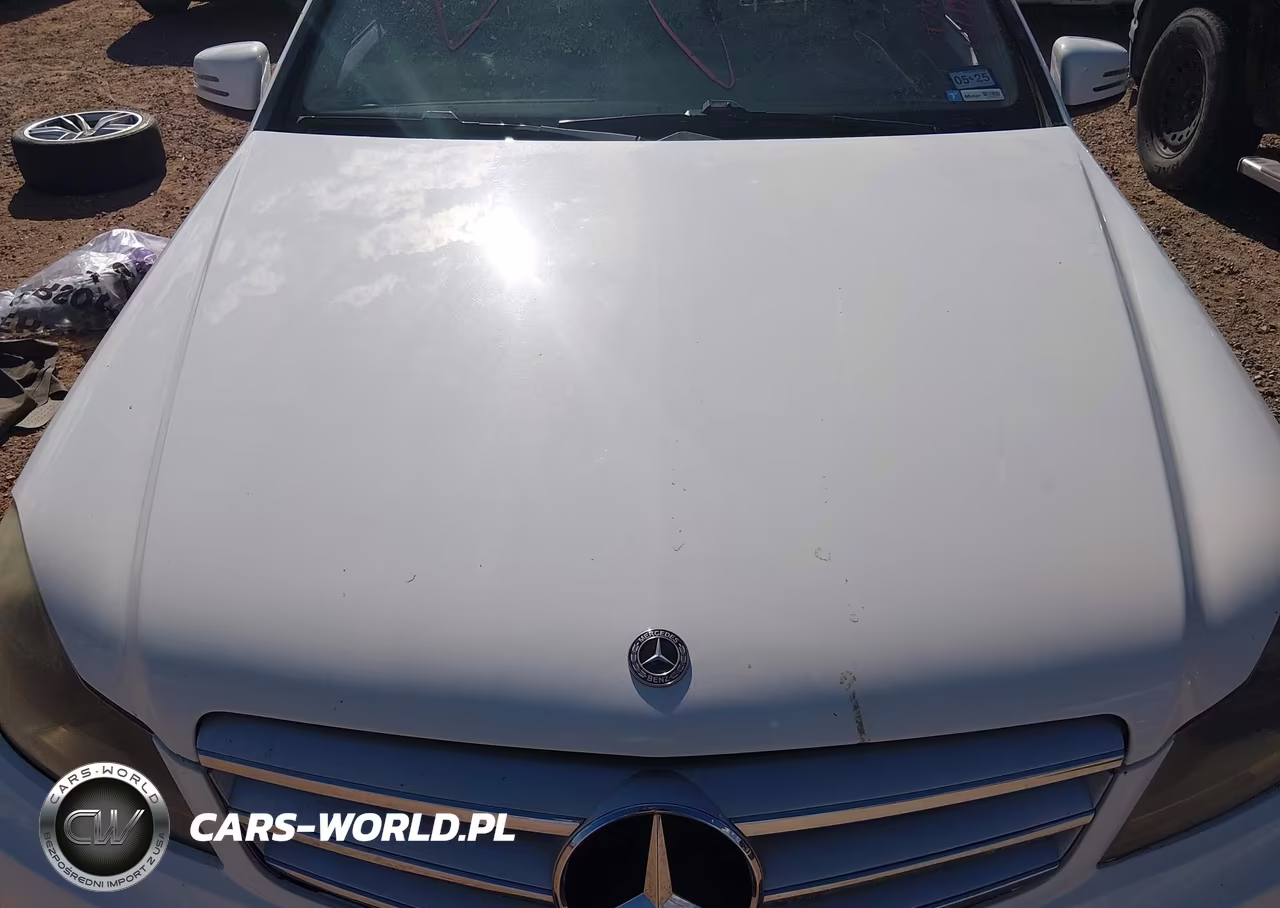 2013 Mercedes-Benz C 250 Luxury-Sport VIN:WDDGF4HB8DA825512 - 10