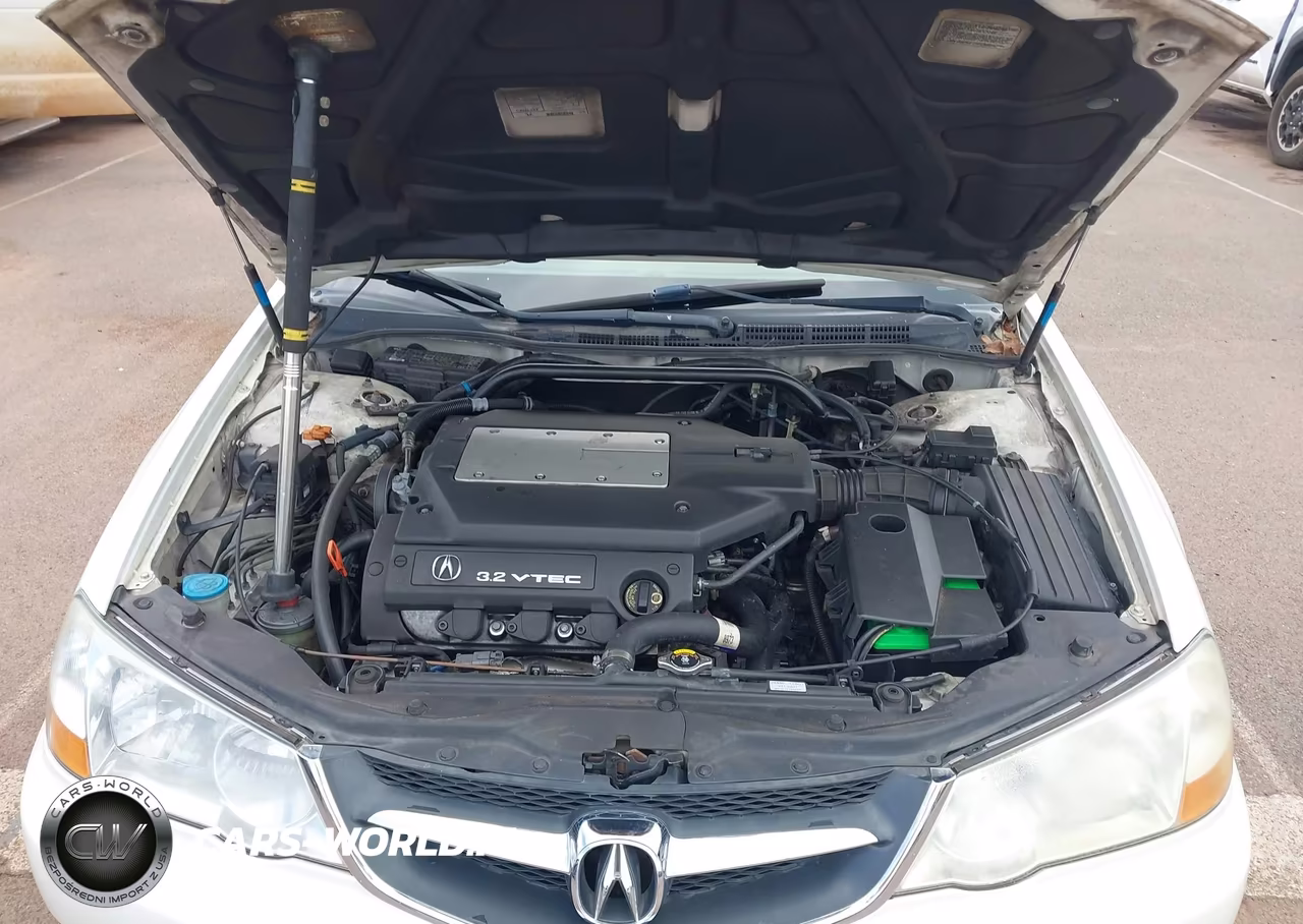 2003 Acura Tl 3.2 VIN:19UUA56613A083073 - 10