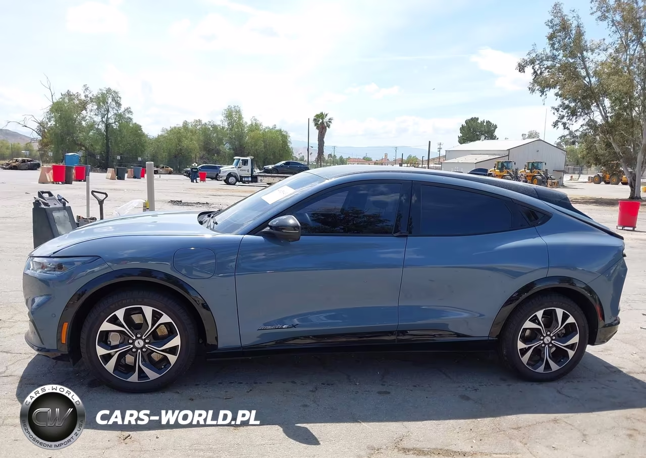 2023 Ford Mustang Mach-E Premium VIN:3FMTK3R76PMA62823 - 14