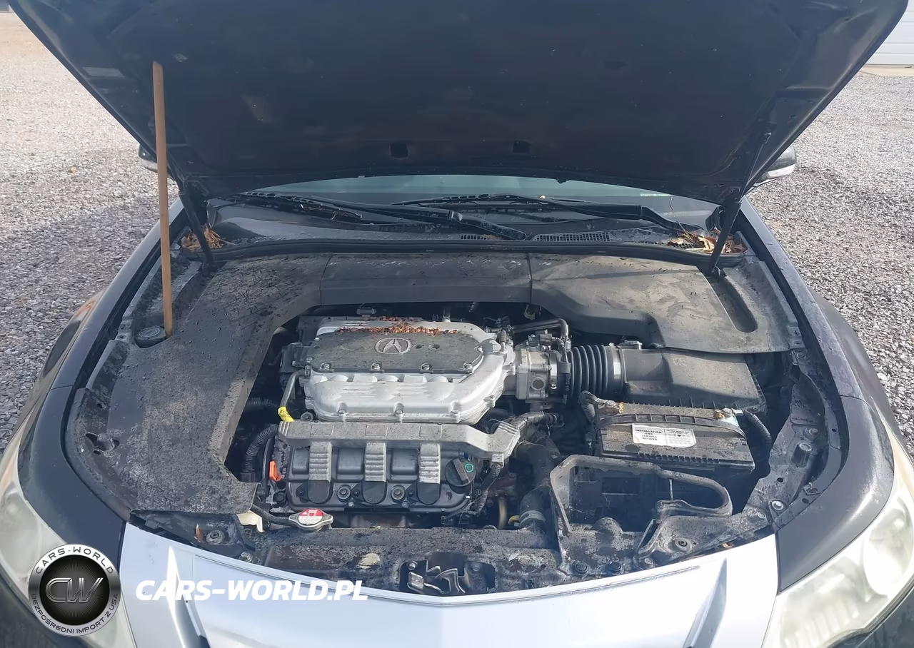 2009 Acura Tl 3.7 VIN:19UUA96539A006129 - 10