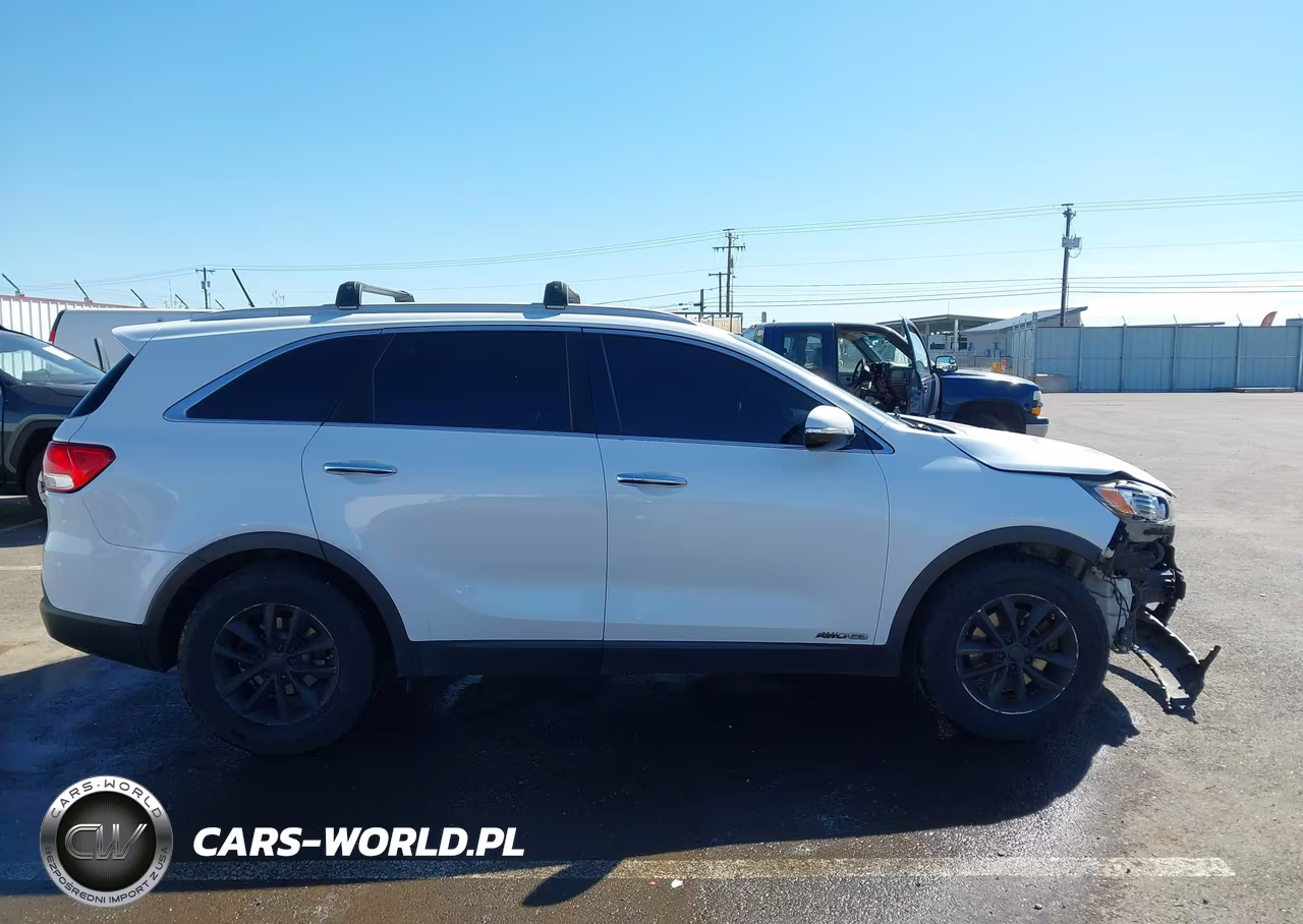 2016 Kia Sorento 3.3L Lx VIN:5XYPGDA54GG135871 - 14