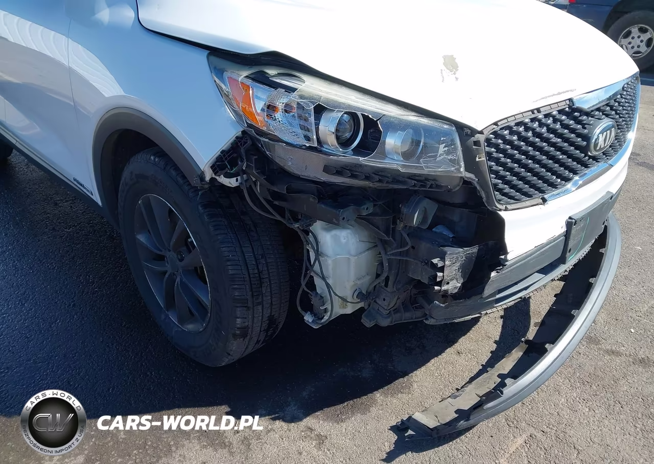 2016 Kia Sorento 3.3L Lx VIN:5XYPGDA54GG135871 - 6