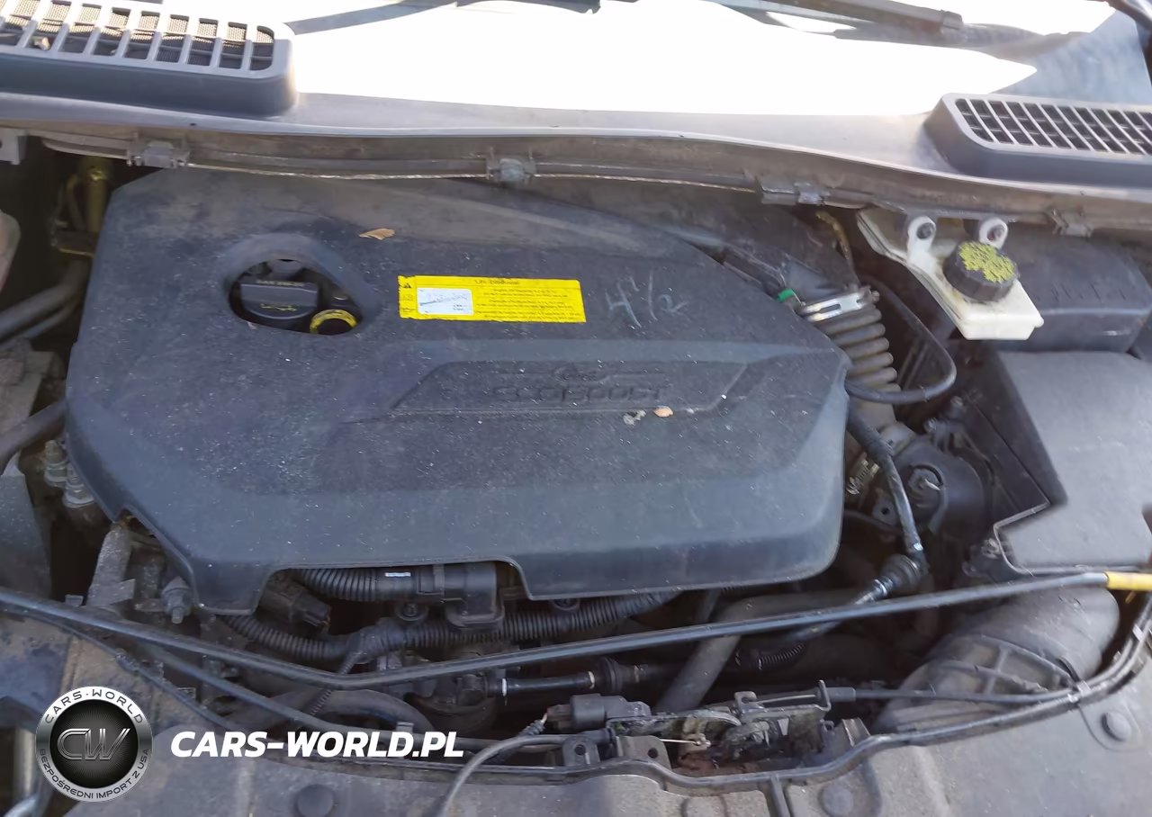2016 Ford Escape Se VIN:1FMCU0GX8GUA63981 - 10