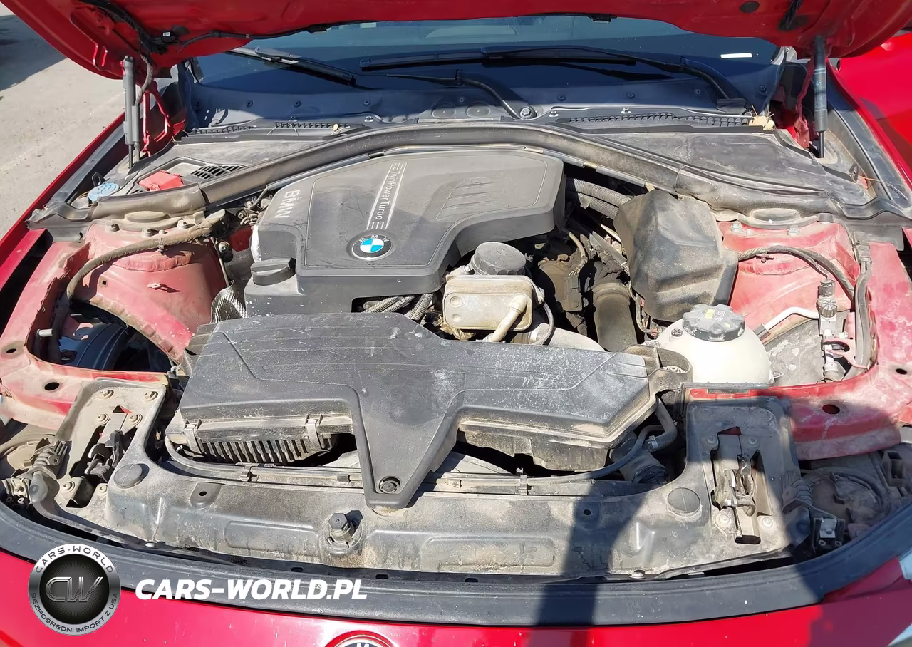 2016 BMW 320I VIN:WBA8E1G51GNU11624 - 10