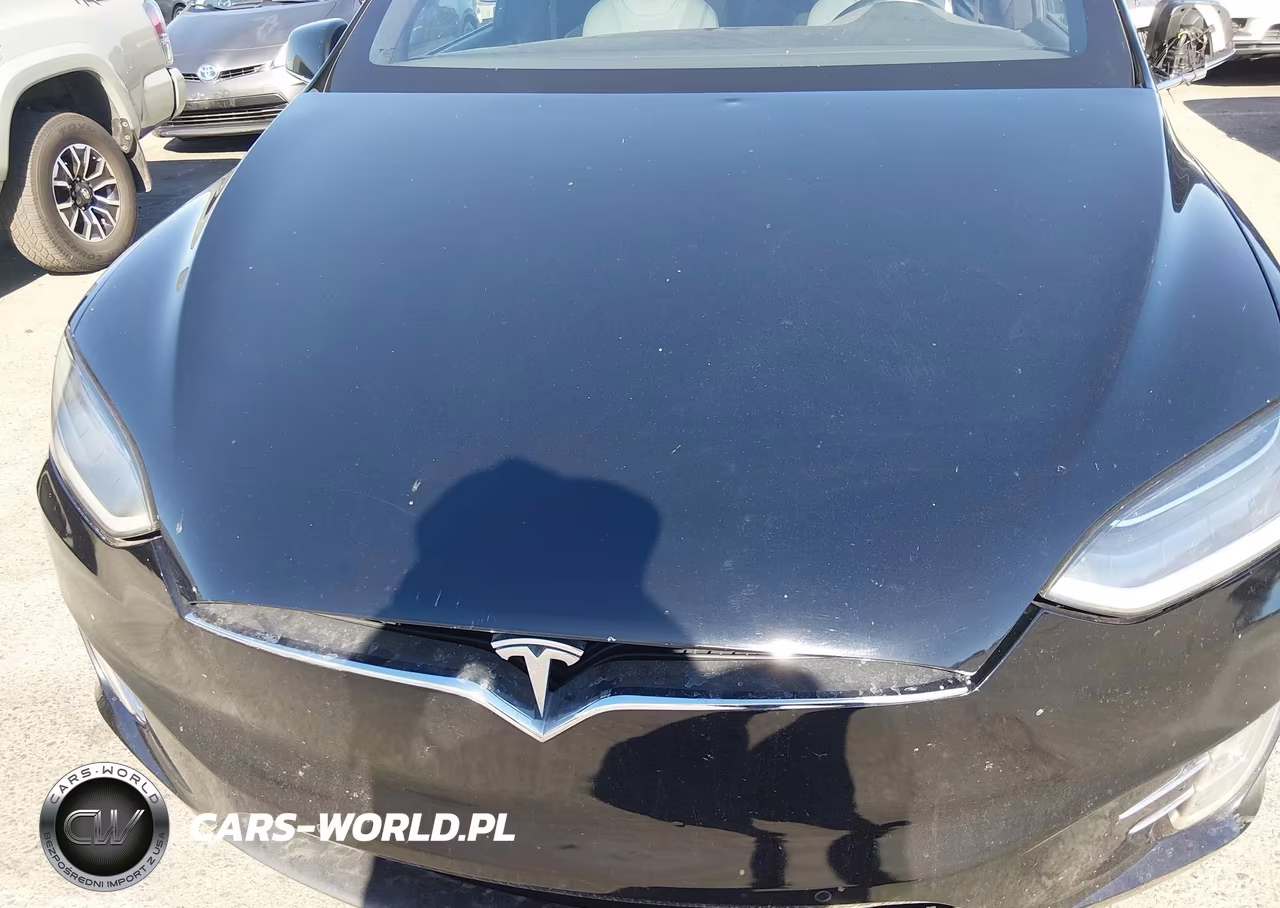 2016 Tesla Model X 60D-70D-75D-90D-P100D VIN:5YJXCBE25GF014905 - 10