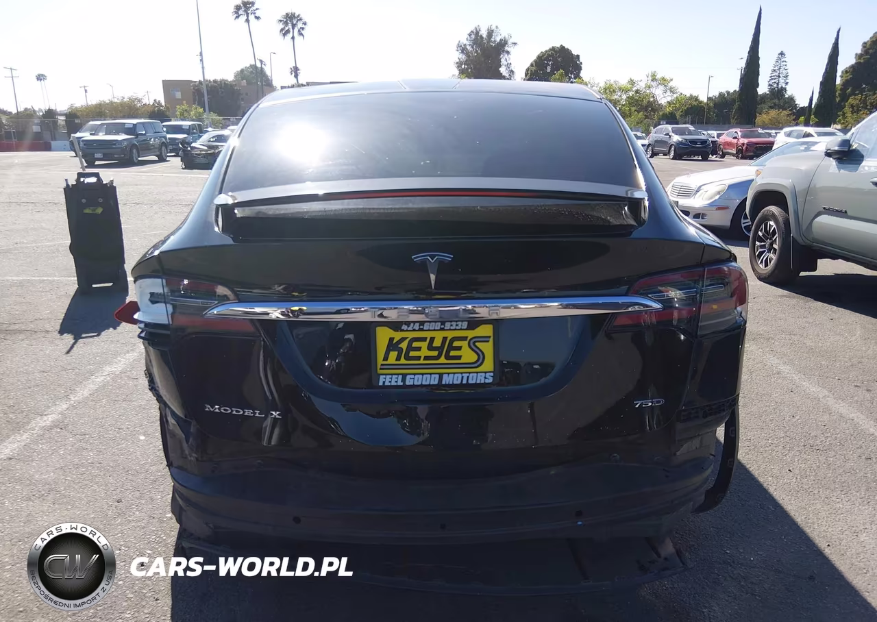 2016 Tesla Model X 60D-70D-75D-90D-P100D VIN:5YJXCBE25GF014905 - 17