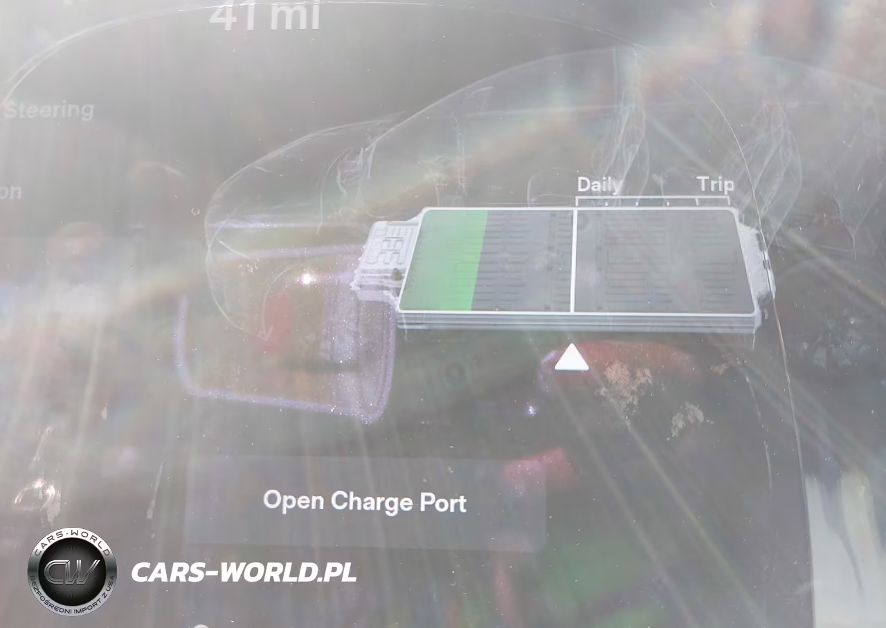 2016 Tesla Model X 60D-70D-75D-90D-P100D VIN:5YJXCBE25GF014905 - 18