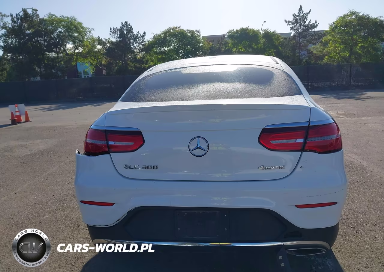 2019 Mercedes-Benz Glc 300 Coupe 4Matic VIN:WDC0J4KB1KF546576 - 17