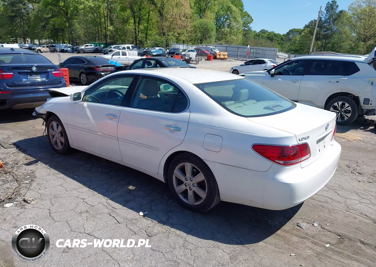 2005 Lexus Es 330 VIN:JTHBA30G455104200 - 3