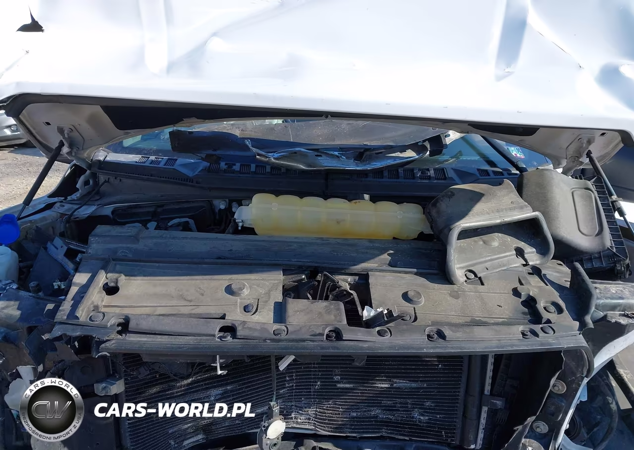 2019 Ford F-150 Xlt VIN:1FTFW1E56KFC36140 - 10