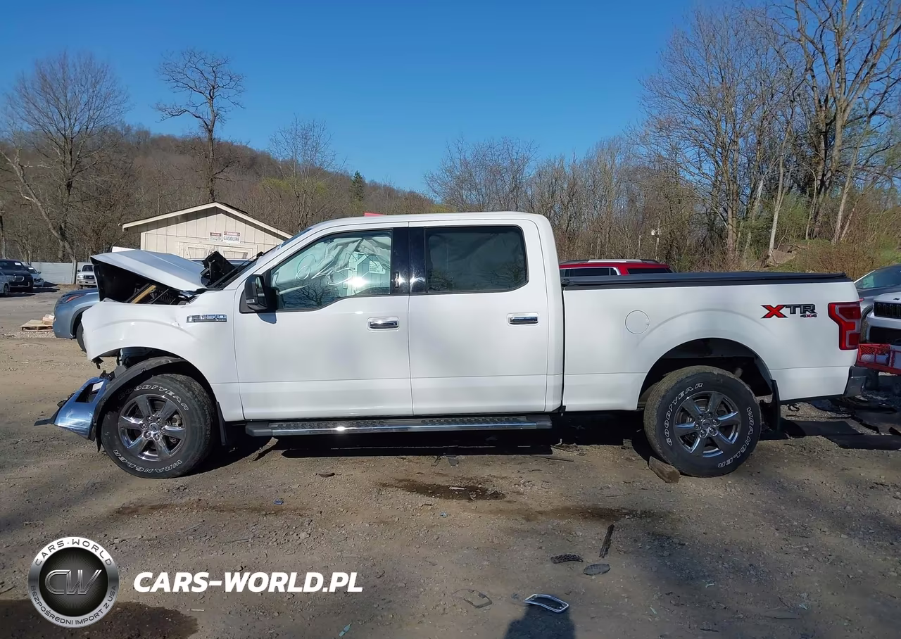 2019 Ford F-150 Xlt VIN:1FTFW1E56KFC36140 - 14