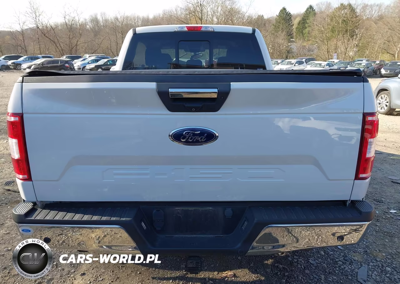 2019 Ford F-150 Xlt VIN:1FTFW1E56KFC36140 - 16