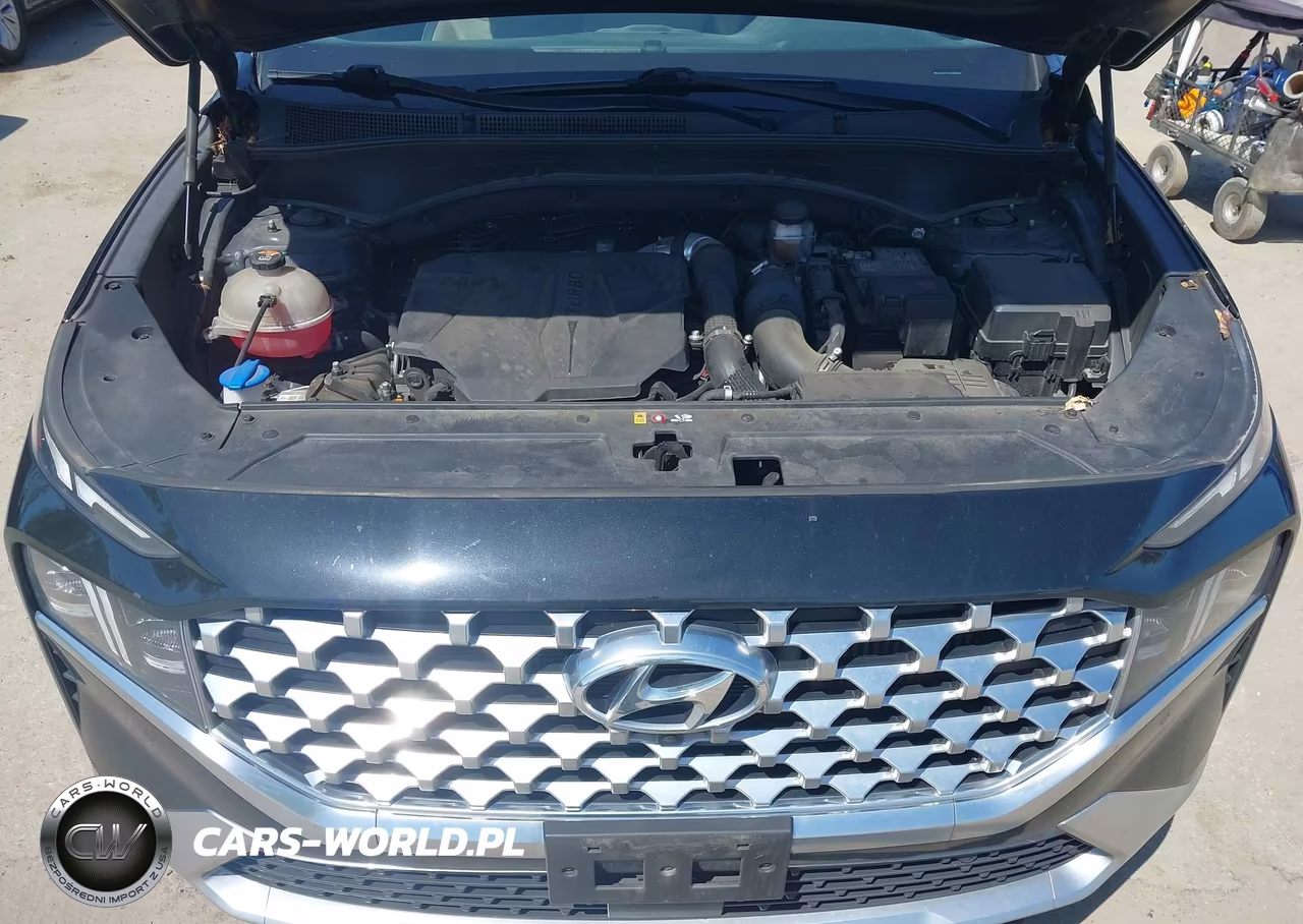 2021 Hyundai Santa Fe Limited VIN:5NMS4DAL3MH356056 - 10