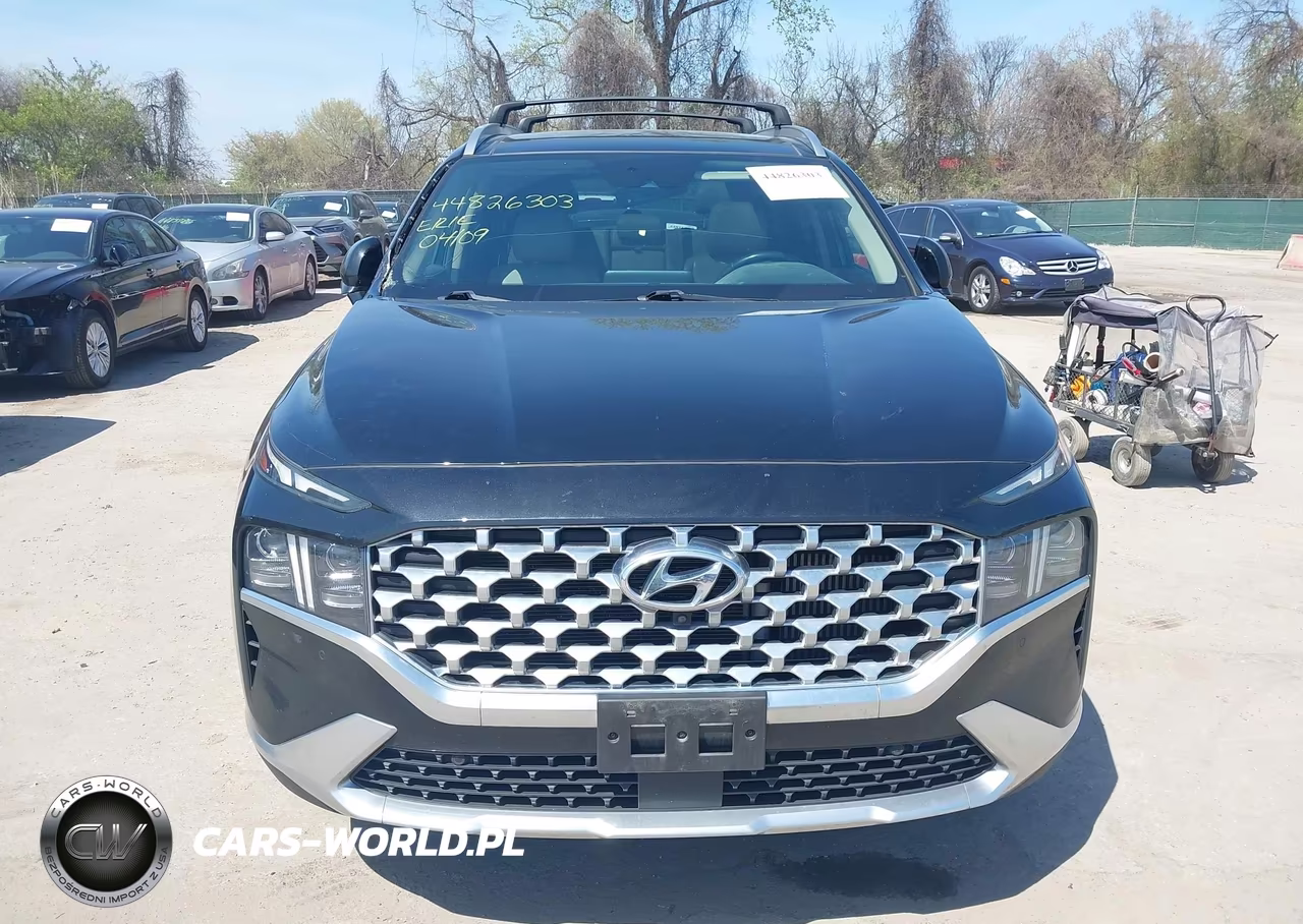 2021 Hyundai Santa Fe Limited VIN:5NMS4DAL3MH356056 - 12