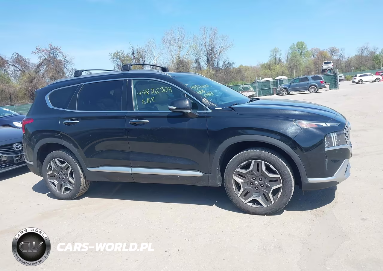 2021 Hyundai Santa Fe Limited VIN:5NMS4DAL3MH356056 - 13