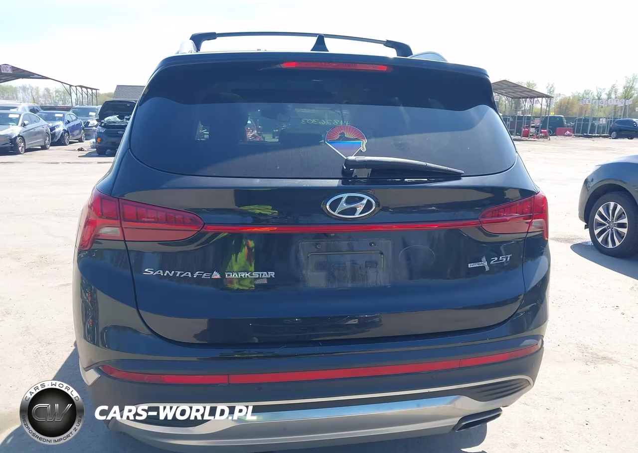 2021 Hyundai Santa Fe Limited VIN:5NMS4DAL3MH356056 - 16