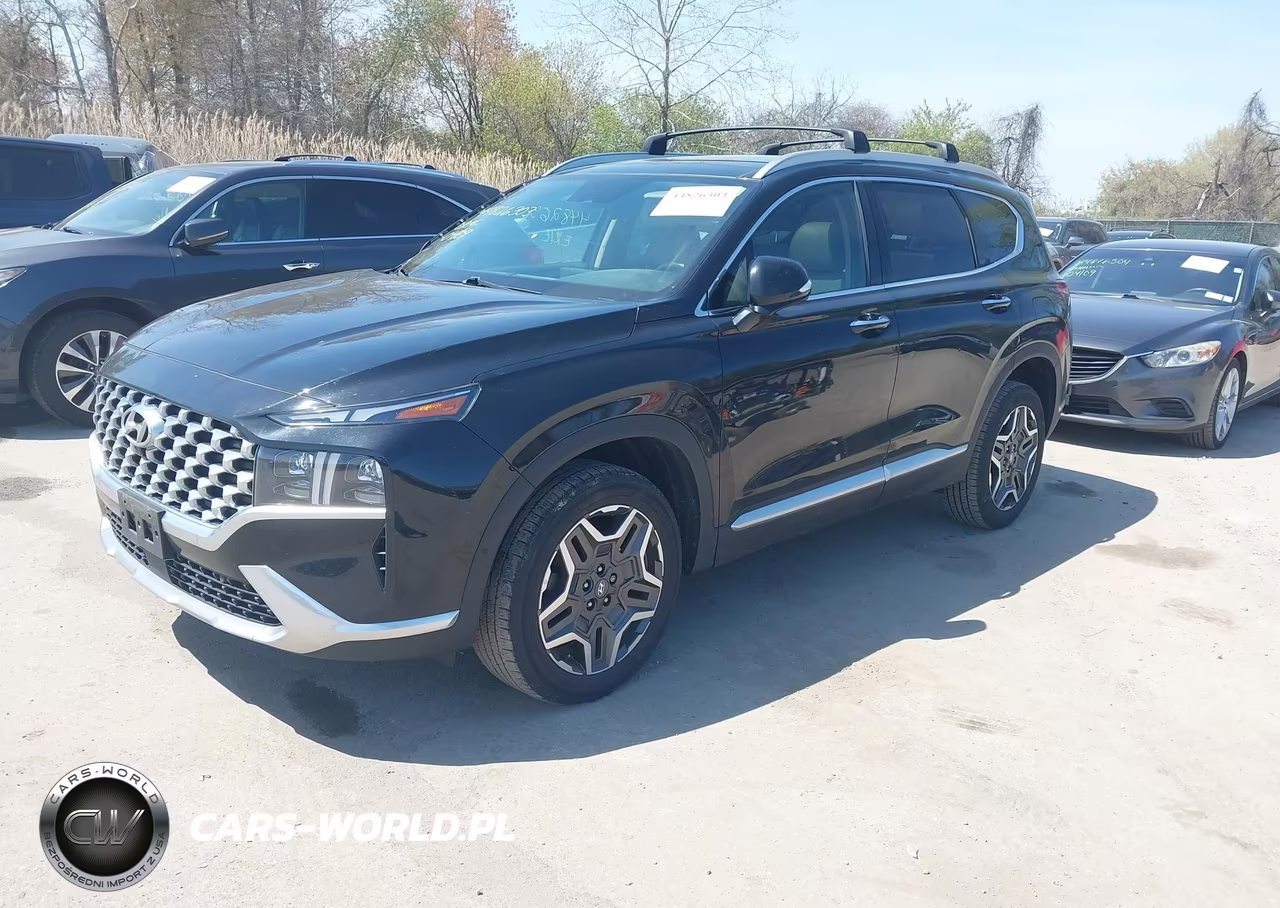 2021 Hyundai Santa Fe Limited VIN:5NMS4DAL3MH356056 - 2