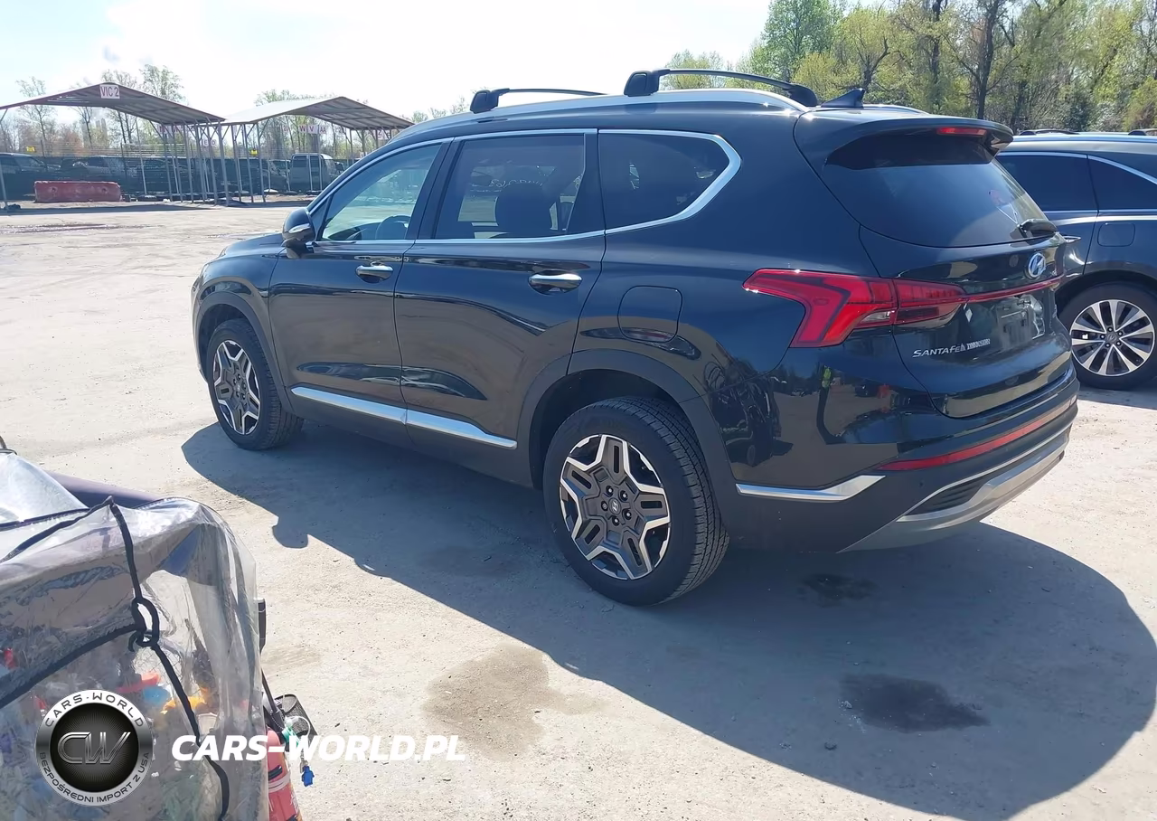 2021 Hyundai Santa Fe Limited VIN:5NMS4DAL3MH356056 - 3