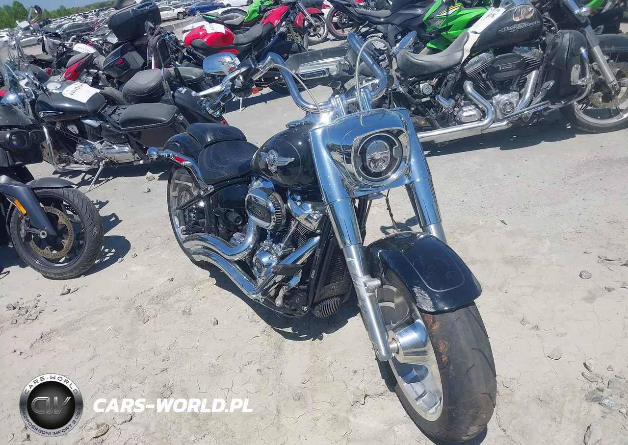 2021 Harley-Davidson Flfbs