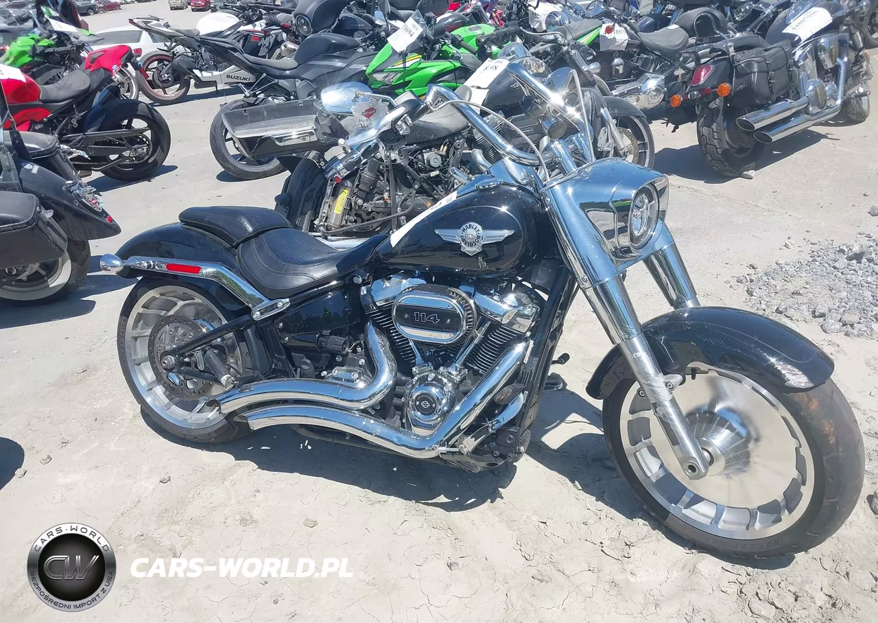 2021 Harley-Davidson Flfbs VIN:1HD1YGK19MB063909 - 11