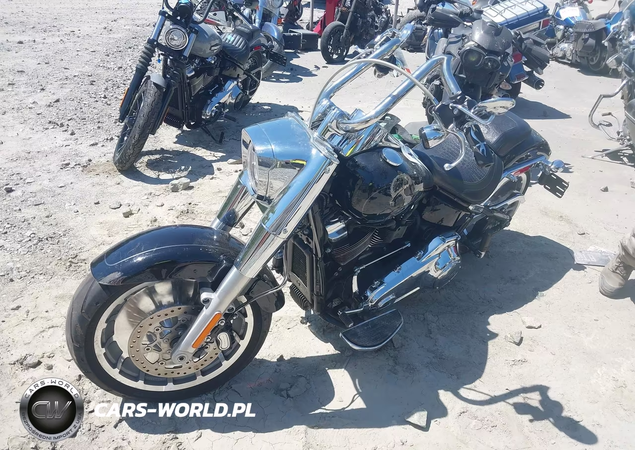 2021 Harley-Davidson Flfbs VIN:1HD1YGK19MB063909 - 2