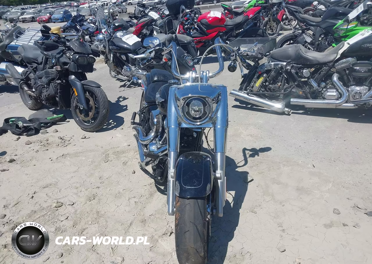 2021 Harley-Davidson Flfbs VIN:1HD1YGK19MB063909 - 5