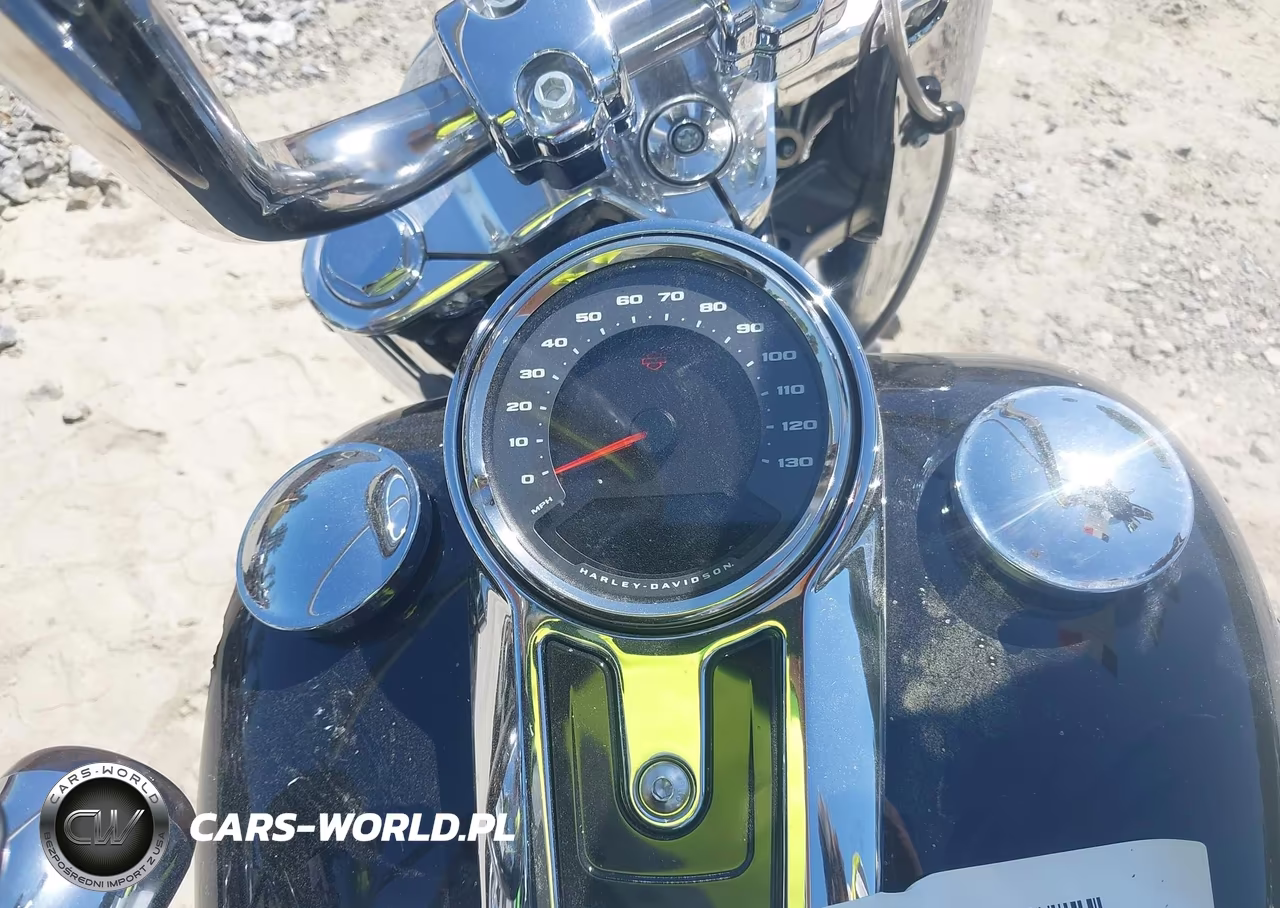 2021 Harley-Davidson Flfbs VIN:1HD1YGK19MB063909 - 7