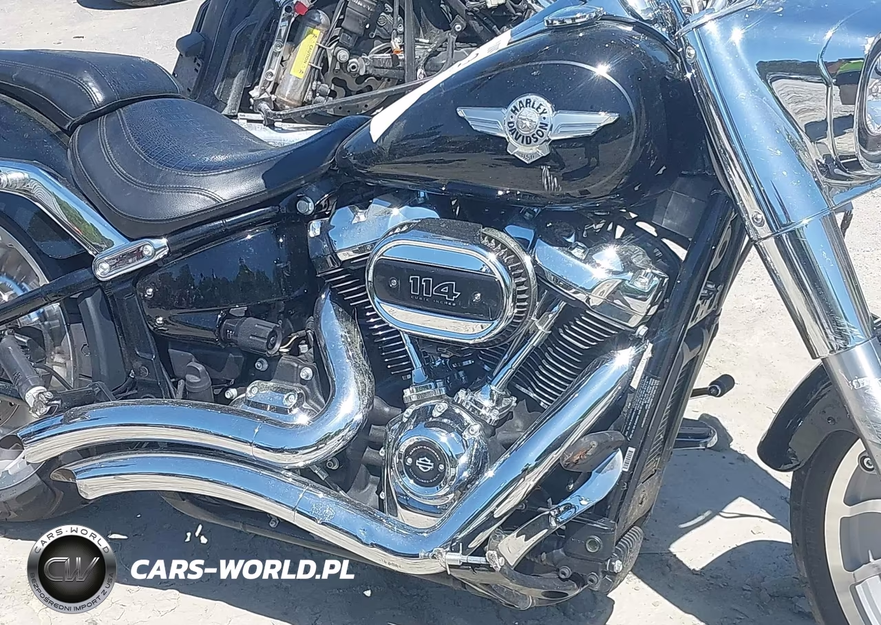2021 Harley-Davidson Flfbs VIN:1HD1YGK19MB063909 - 8