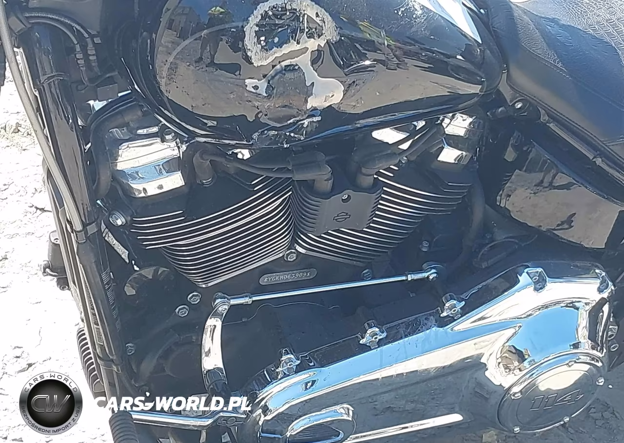 2021 Harley-Davidson Flfbs VIN:1HD1YGK19MB063909 - 9