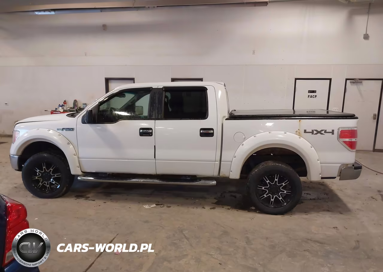 2010 Ford F-150 Fx4-Harley-Davidson-King Ranch-Lariat-Platinum-Xl-Xlt VIN:1FTFW1EVXAFB36654 - 14