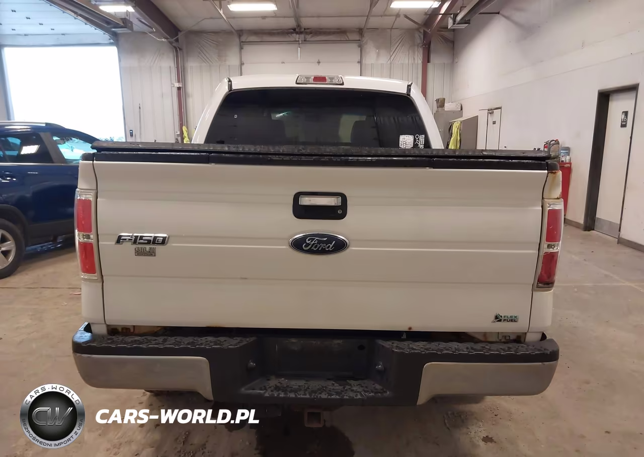 2010 Ford F-150 Fx4-Harley-Davidson-King Ranch-Lariat-Platinum-Xl-Xlt VIN:1FTFW1EVXAFB36654 - 16